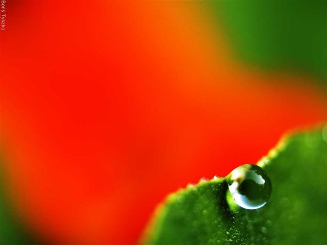 Water Droplet